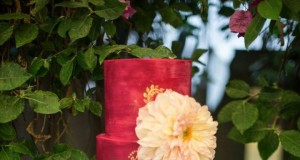 So Red Cake