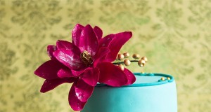Elegant Cute Cake