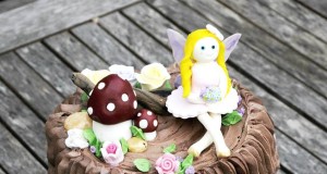 Katie Lambley‎'s Fairy Cake