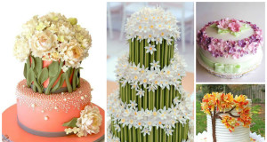 Search For The Ever Dynamic Cake Artist