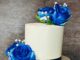 Cake by Shally’s Cake Fantasies