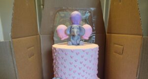 Cake from Cakes by Ciera